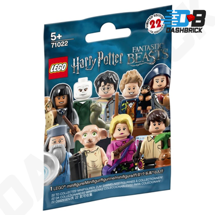 LEGO Minifigure - Draco Malfoy, Quidditch, Harry Potter - Series 1, (4 of 22)